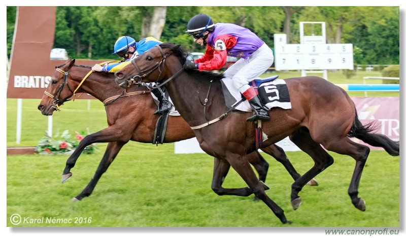 Bratislava - 15. mja 2016 