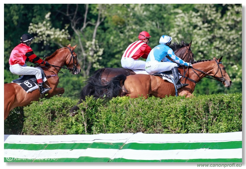Bratislava - 22. mja 2016 