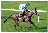 24. Slovensk Oaks 