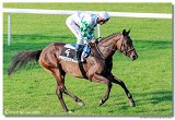 24. Slovensk Oaks 