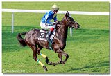 24. Slovensk Oaks 