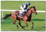 24. Slovensk Oaks 