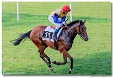 24. Slovensk Oaks 