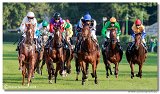 24. Slovensk Oaks 