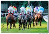24. Slovensk Oaks 