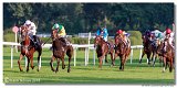24. Slovensk Oaks 