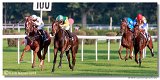 24. Slovensk Oaks 