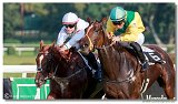24. Slovensk Oaks 