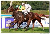 24. Slovensk Oaks 