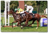 24. Slovensk Oaks 
