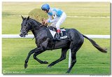 St. Leger CHARVT 