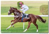 St. Leger CHARVT 