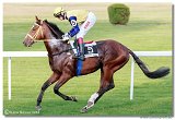 St. Leger CHARVT 