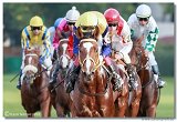 St. Leger CHARVT 