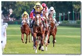 St. Leger CHARVT 