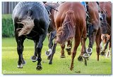 St. Leger CHARVT 