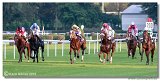 St. Leger CHARVT 