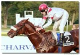 St. Leger CHARVT 