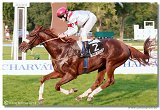 St. Leger CHARVT 