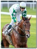 St. Leger CHARVT 