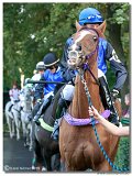 Vek starohjska steeplechase 