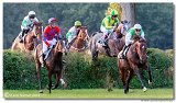 Vek starohjska steeplechase 