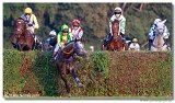 Vek starohjska steeplechase 