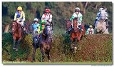 Vek starohjska steeplechase 