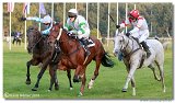 Vek starohjska steeplechase 