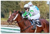 Vek starohjska steeplechase 