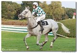 Vek starohjska steeplechase 