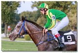 Vek starohjska steeplechase 