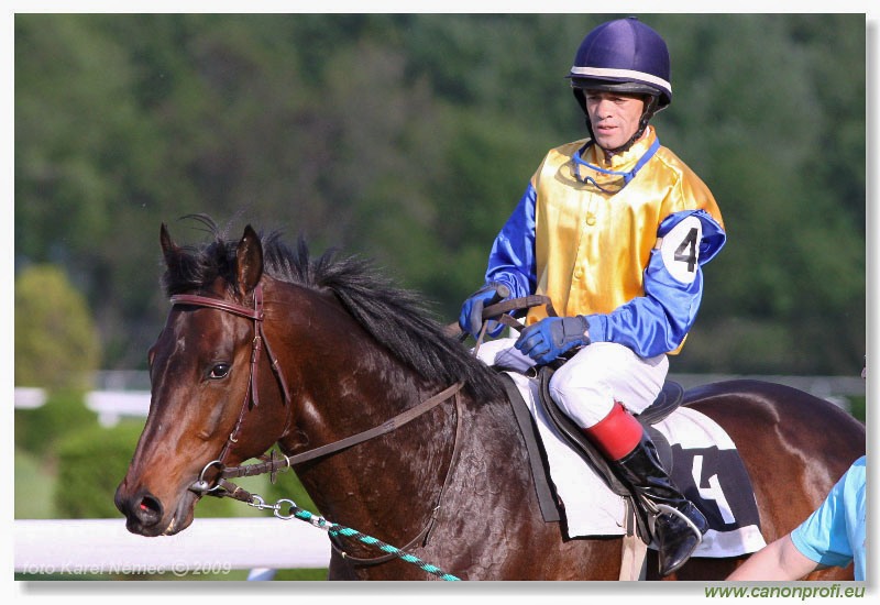 Bratislava - 19. apríla 2009 