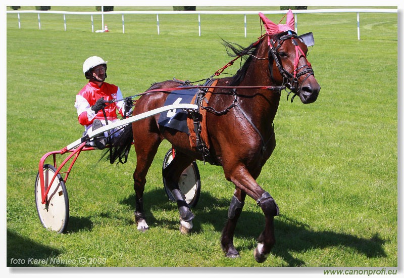 Bratislava - 17. mája 2009 