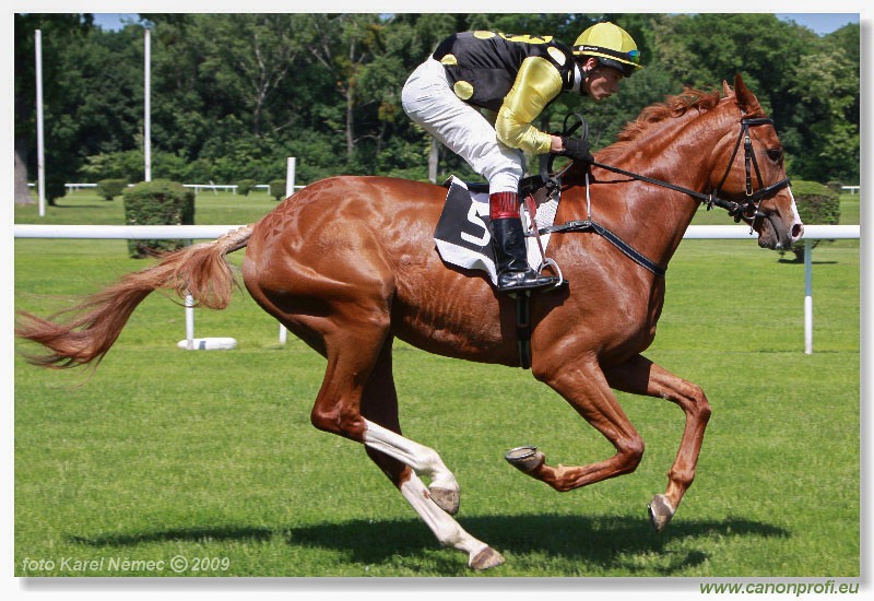 Bratislava - 17. mája 2009 
