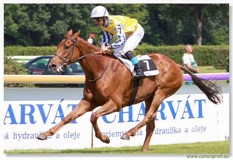 Bratislava - 24. mája 2009 