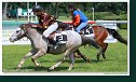 pony I