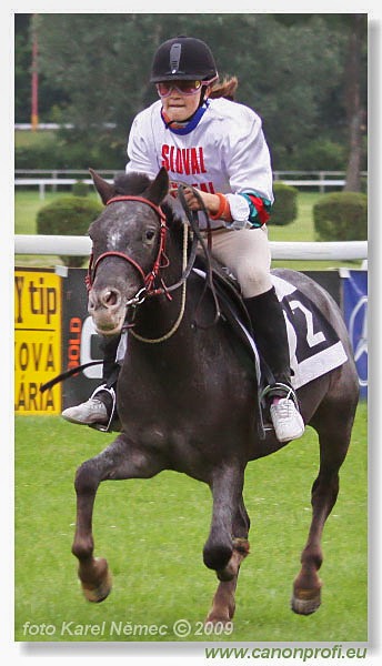 Bratislava - 07. júna 2009 