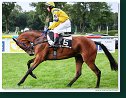 17. Derby - Trial