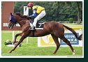 17. Derby - Trial