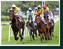 17. Derby - Trial