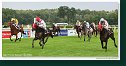 17. Derby - Trial