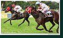 17. Derby - Trial
