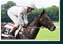 17. Derby - Trial