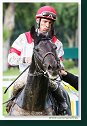 17. Derby - Trial
