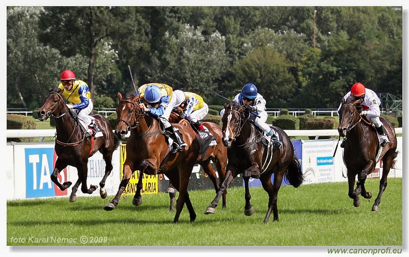 Bratislava - 30. augusta 2009 