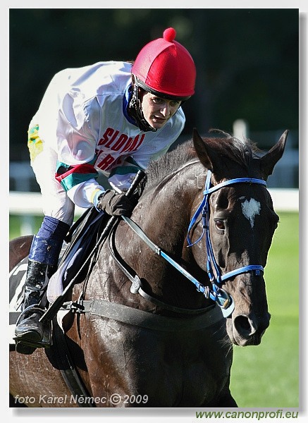 Bratislava - 30. augusta 2009 