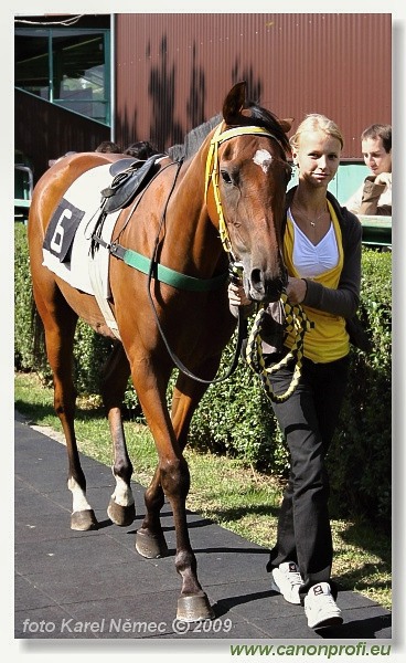 Bratislava - 6. septembra 2009 