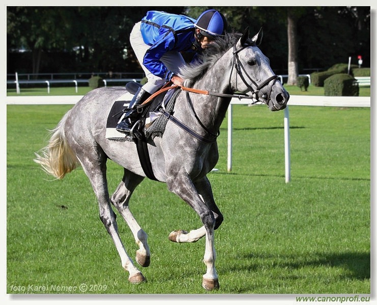 Bratislava - 6. septembra 2009 
