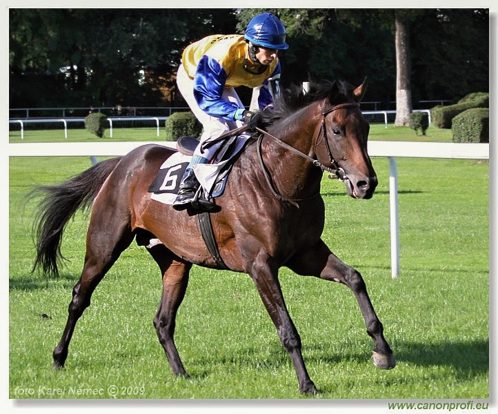 Bratislava - 6. septembra 2009 